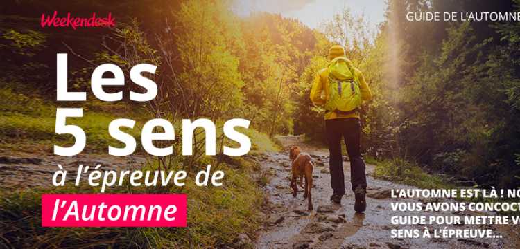 Les 5 sens à l’épreuve de l’automne