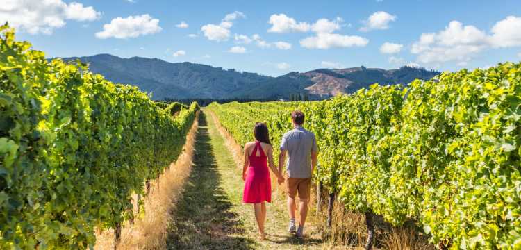 Un fin de semana enoturístico en La Rioja