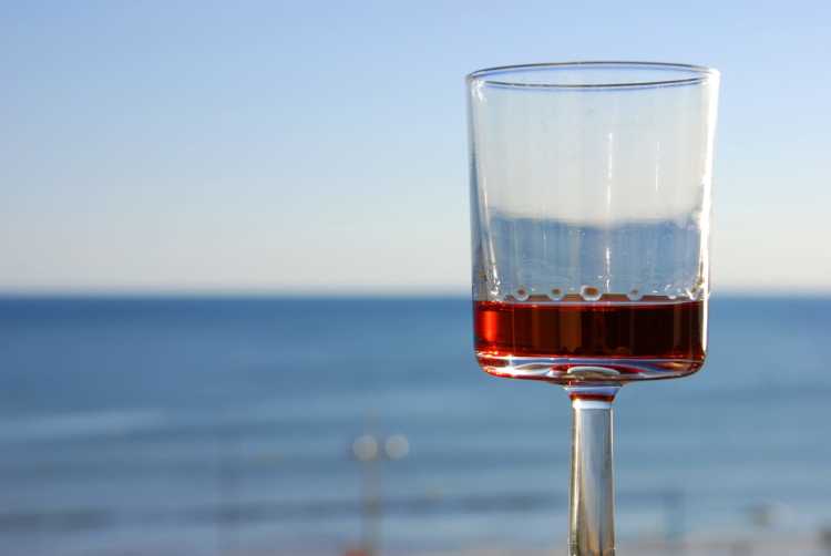 La Troussepinette, l’alcool d’épines de prunellier