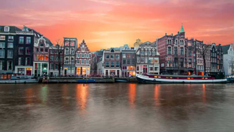 The Fault in Our Stars, Amsterdam
