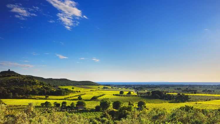 Parco naturale della Maremma