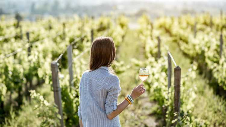 Dégustation de vins