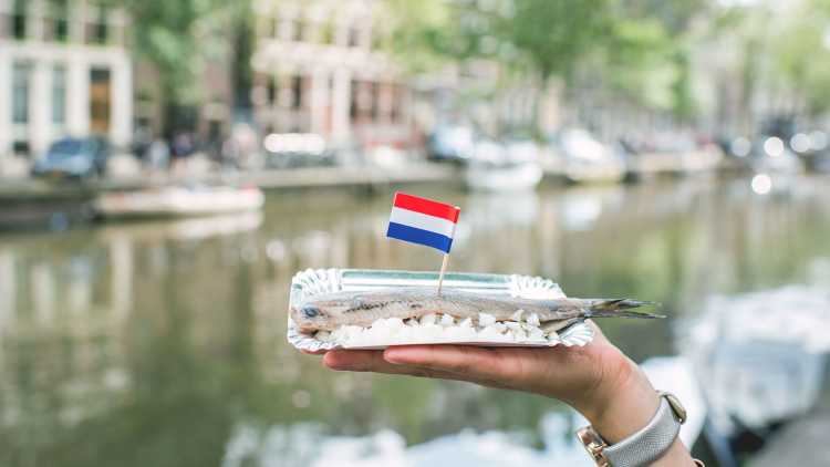Nederlandse haring met ui