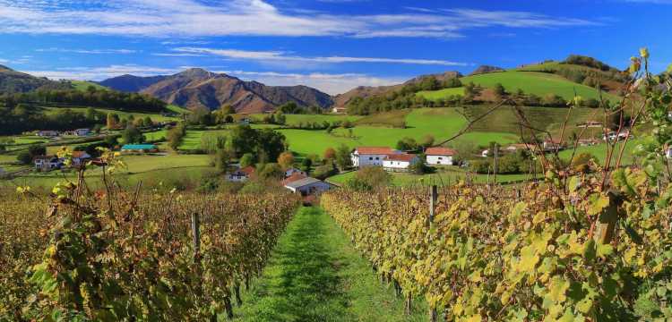 que faire au pays basque ? le guide complet