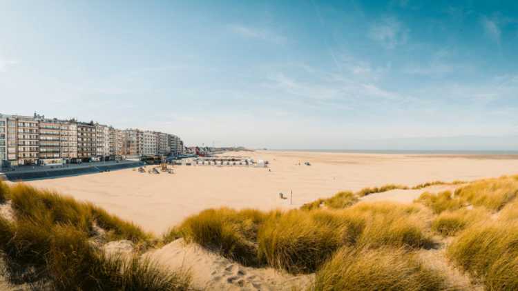 Hier gebeurt het: Zeebrugge