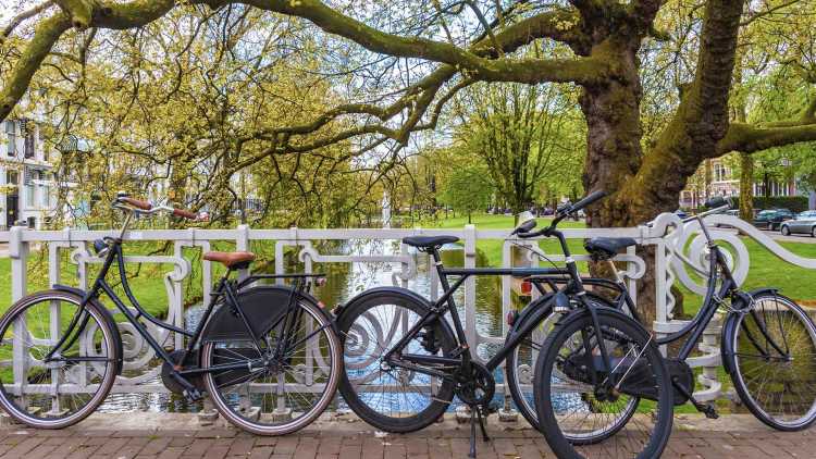 Rotterdam centrum op de fiets