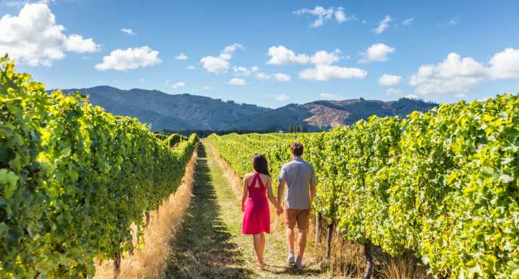Un fin de semana enoturístico en La Rioja