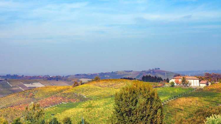 Langhe-Roero