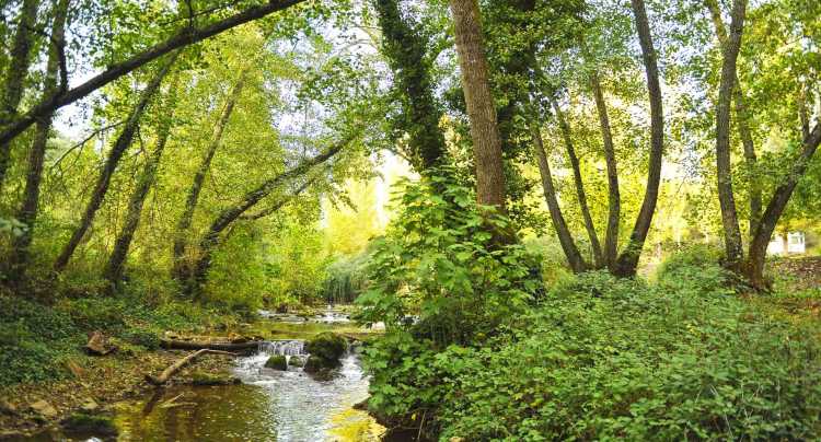 Qué hacer a 50 kilómetros de Sevilla