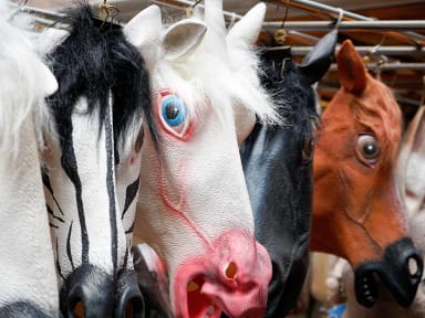 Costume d’animal