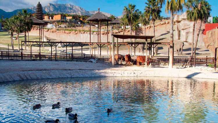 Terra Natura Benidorm