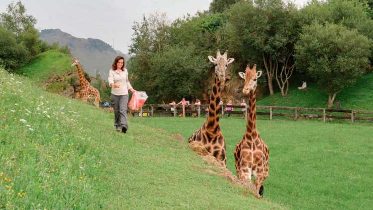 Zoologico di Cabárceno