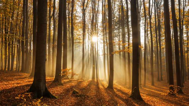 Voici les meilleurs plans pour l’automne