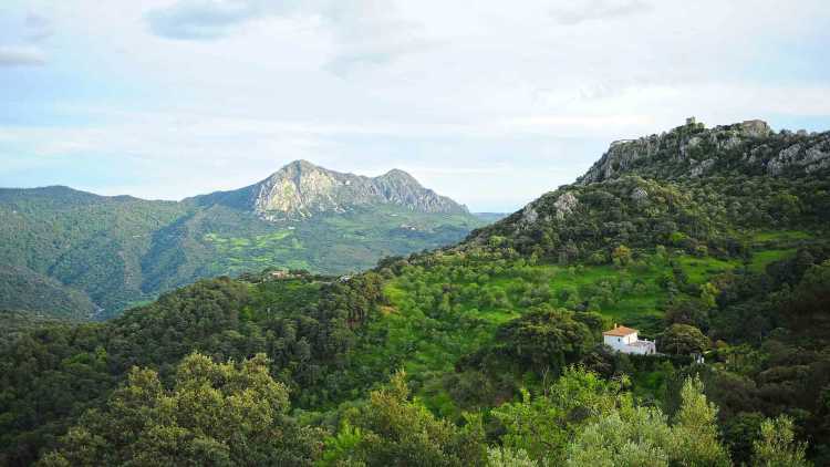 Parque Natural de Los Alcornocales