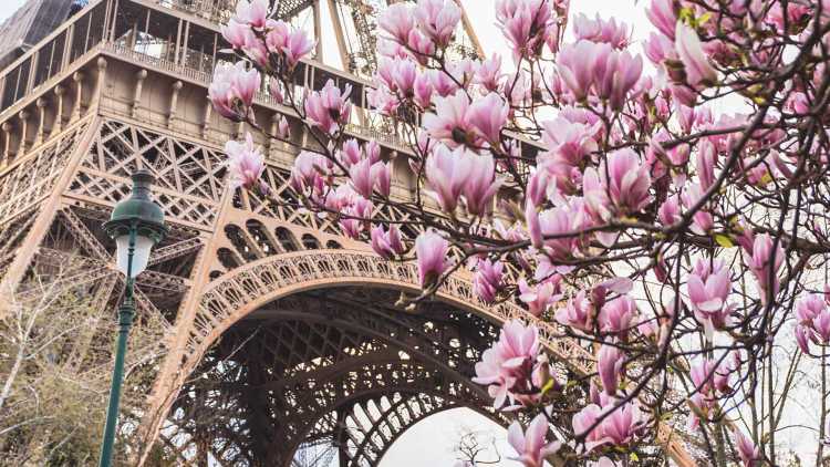 Les jardins du Trocadéro