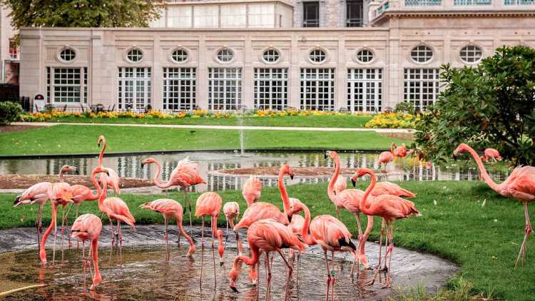 Zoo Antwerpen