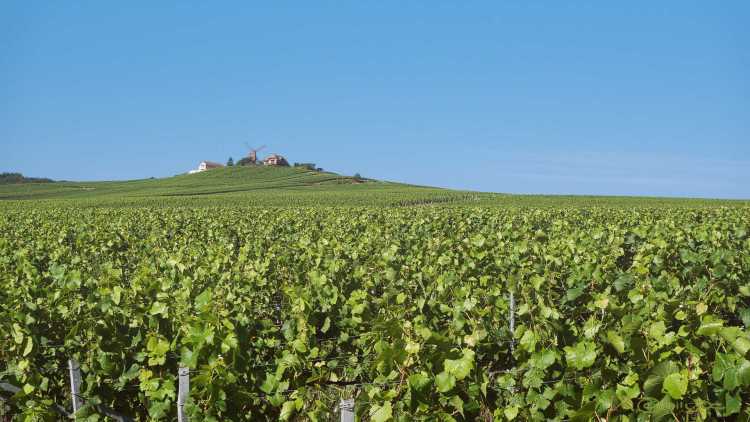 Champagnestreek, Frankrijk