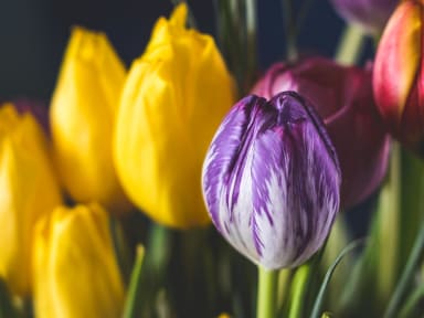 Mélange de couleurs