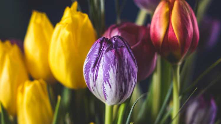 Mélange de couleurs