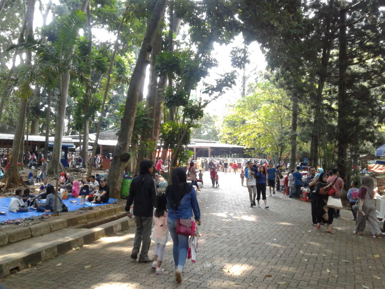 Kebun Binatang Ragunan