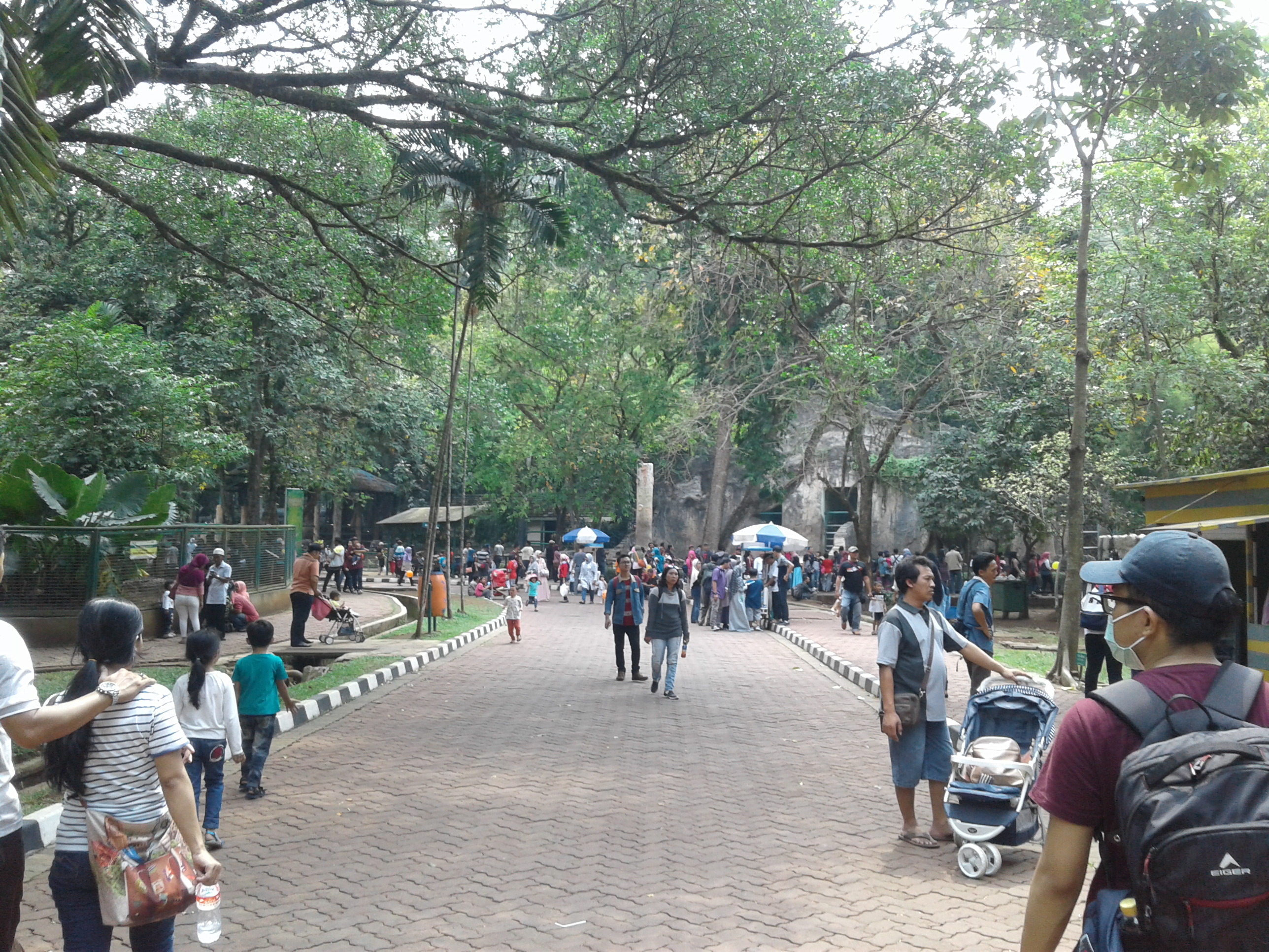 Kebun Binatang Ragunan
