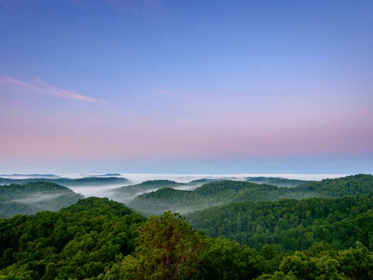 حجز فنادق 3 نجوم في مورهيد كنتاكي عروض يومية للفنادق Wego Sd