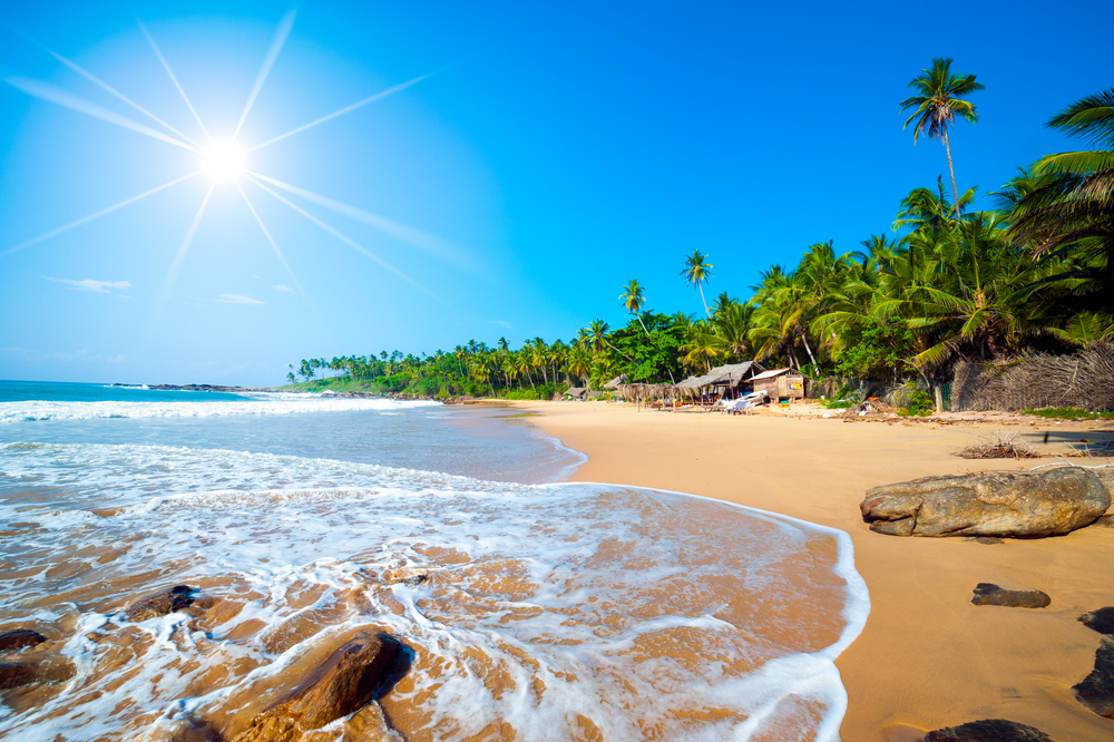 Untouched tropical beach in Sri Lanka