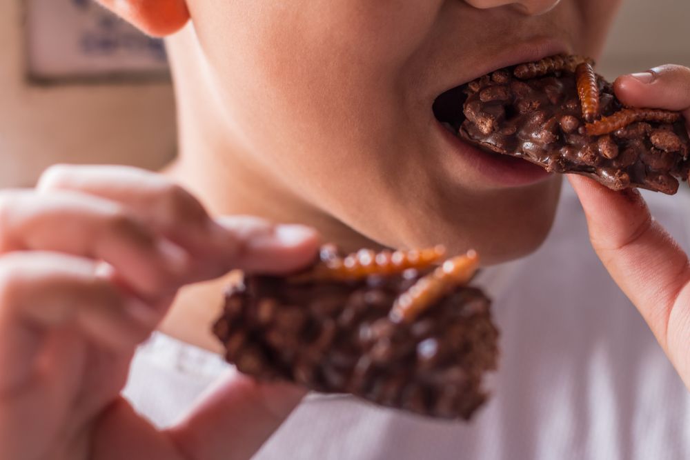 These 6 Countries Found Surprisingly Delicious Ways to Serve and Enjoy Insects — Would You Like to Try Them?