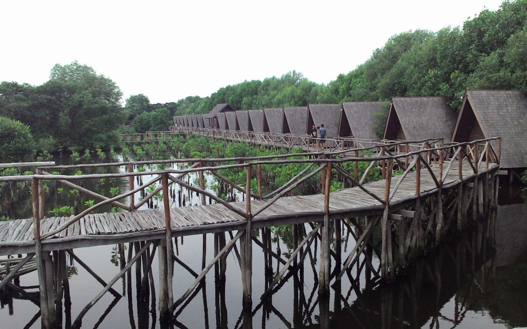 Cara Menuju Kawasan Pantai Indah Kapuk Wego Indonesia