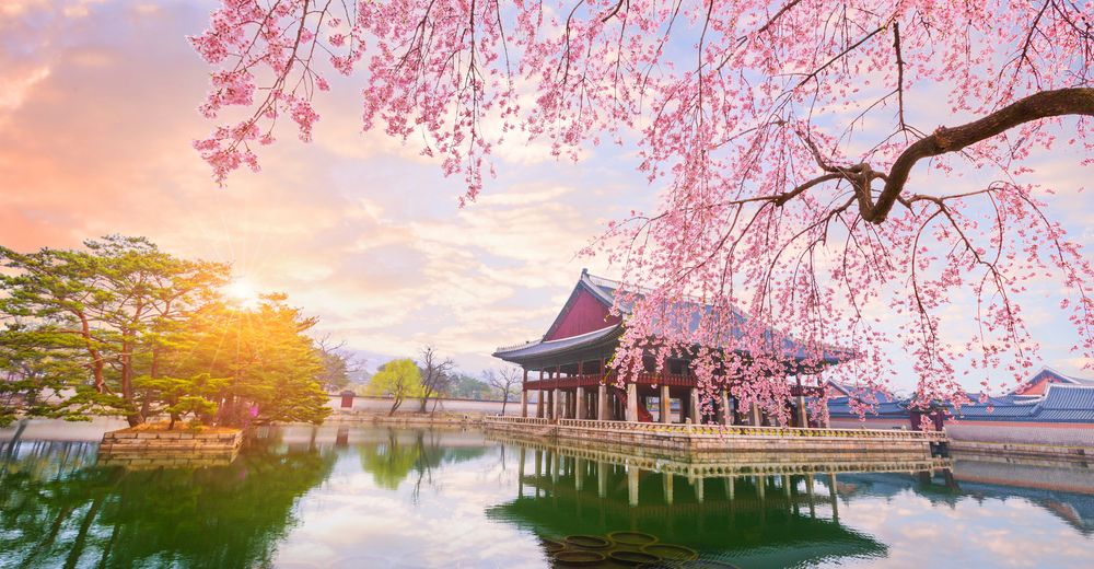 Hình ảnh có liên quan