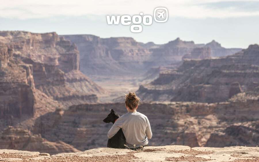 cebu pacific pet cargo price