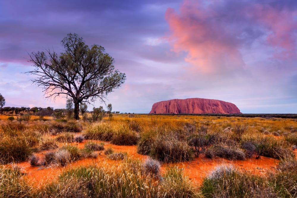 6 Things to Do in Uluru — Activities and Itinerary in Ayers Rock and Australian  Outback