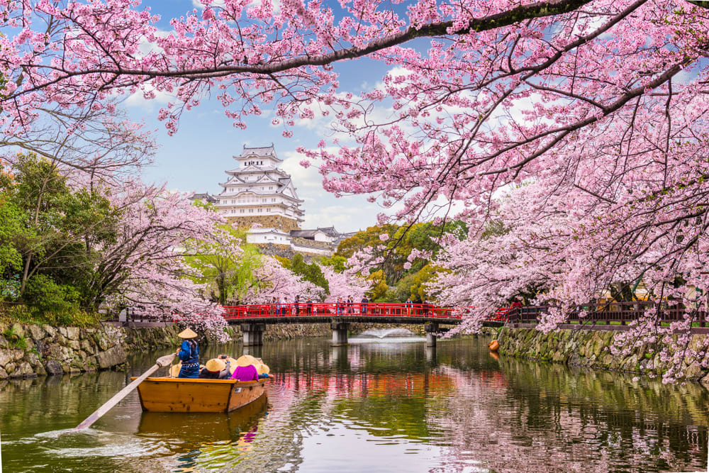 Sakura Festival Shutterstock_776445706_rubvis