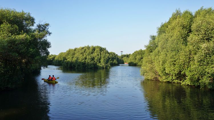 Transit Di Jakarta Ini Cara Menikmati Ibu Kota Selama 6 Jam Wego Indonesia Travel Blog