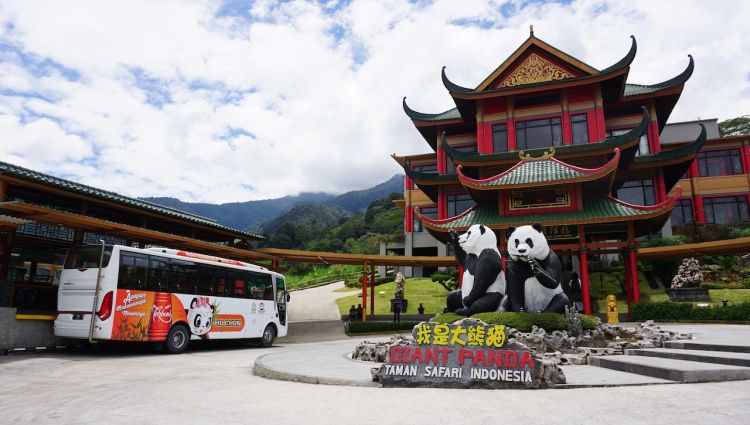 Mengunjungi Duo Panda di Taman Safari Bogor - #TravelON by 