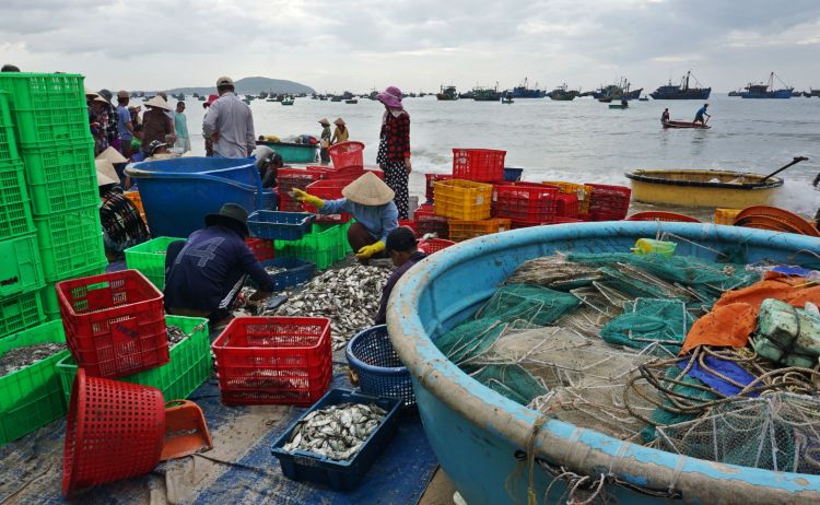 7 Hal Seru yang Wajib Dilakukan di Mui Ne_Fishing Village Mui Ne