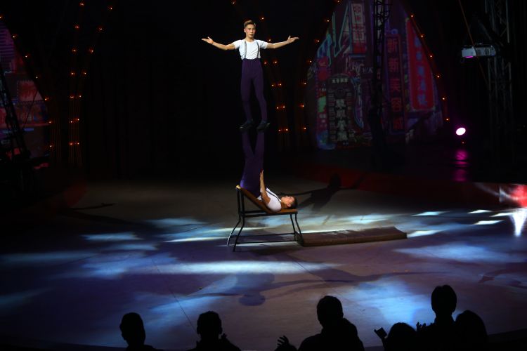 The Great 50 Shows Sirkus Indonesia