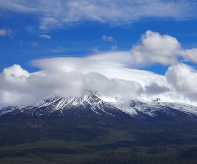 shasta californias wego