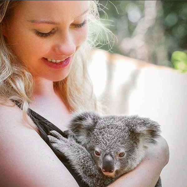 Di Currumbin Wildlife Sanctuary Bisa Selfie Sama Hewan  