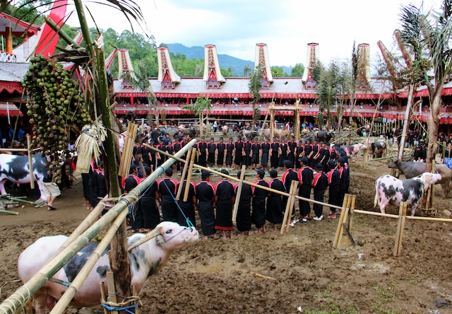 Upacara rambu solok adalah upacara kematian suku