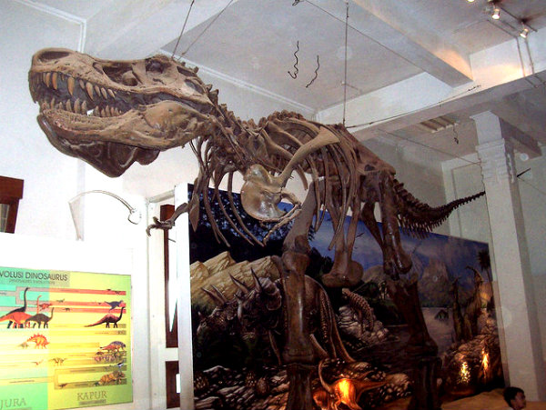 Museum zoologi bandung