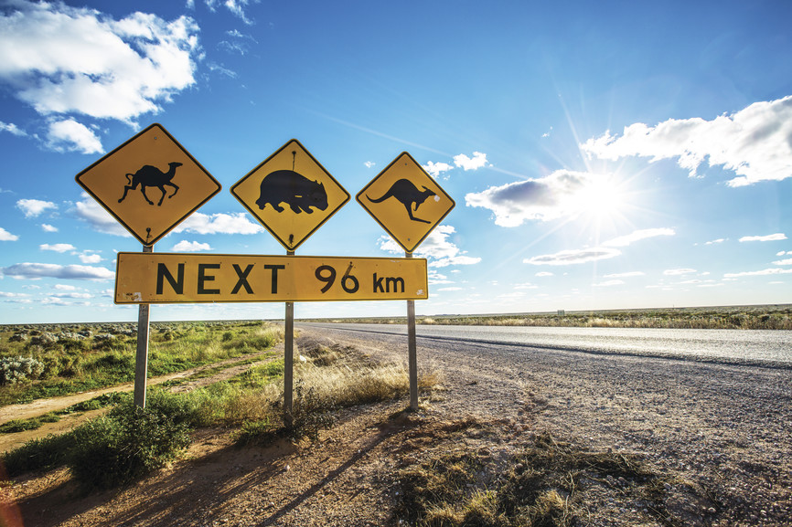 Come On A Seafood Safari In South Australia Wego Travel Blog