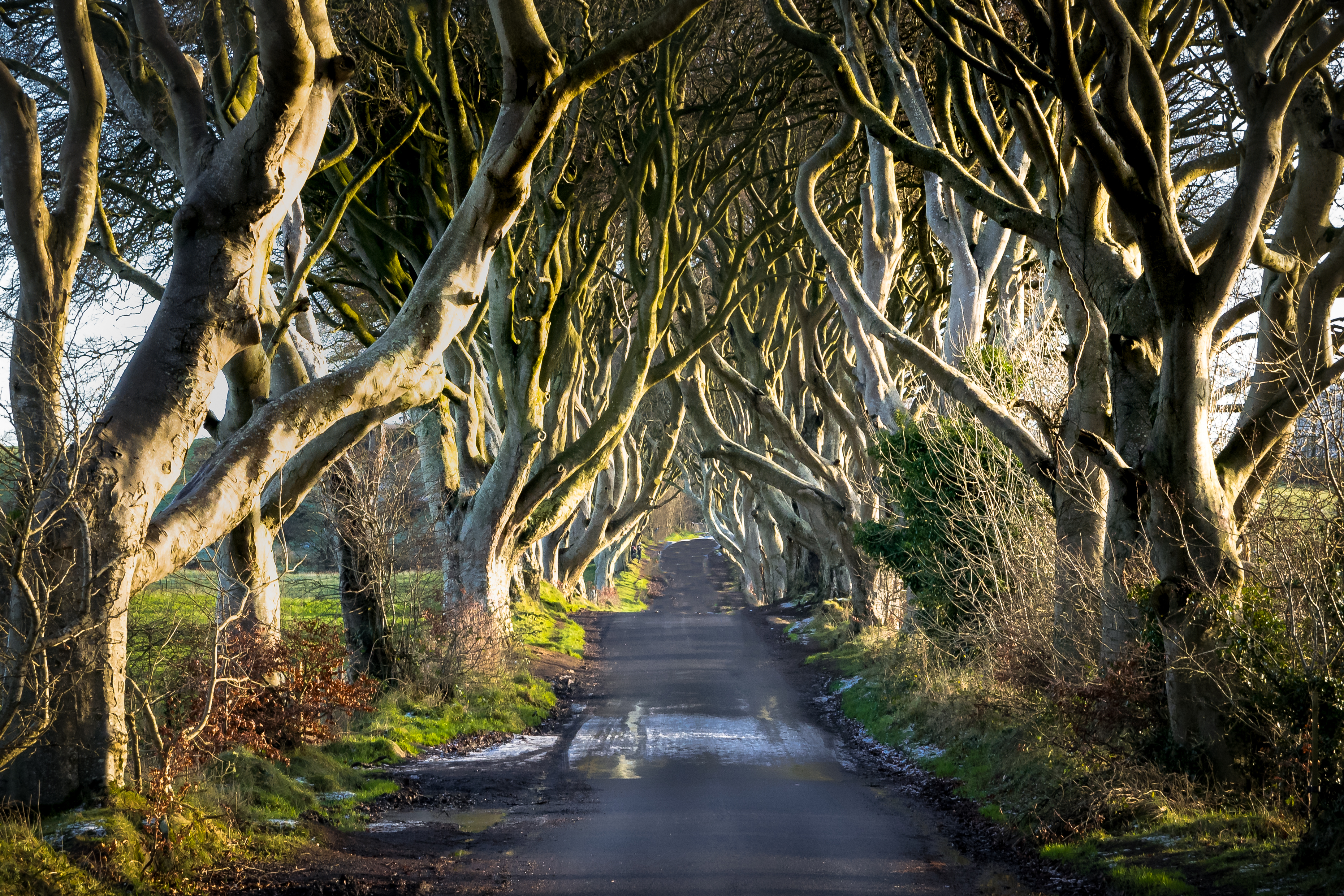 Game Of Thrones Filming Locations In The Uk Wego Travel Blog