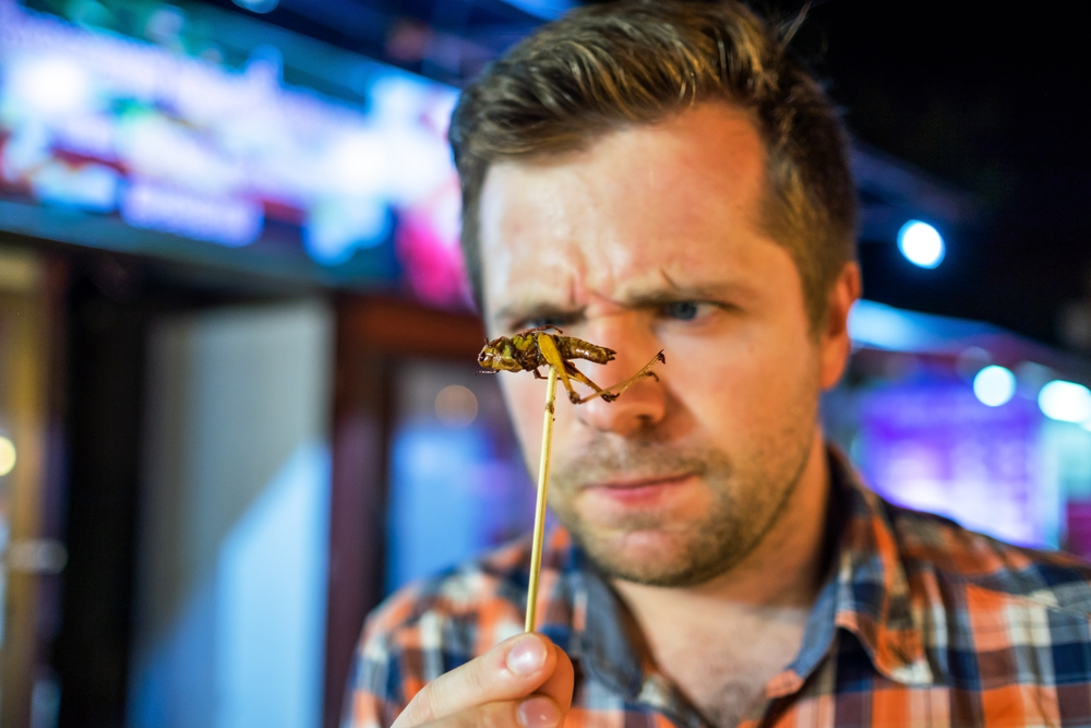 I’ll Have the Cricket, Please: A Musing On Bizarre Foods
