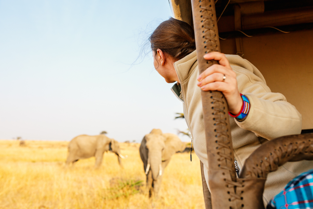 I Went on an African Safari and Saw More Than Just Majestic Wildlife: Answering the Call of the Wild at Madikwe Game Reserve
