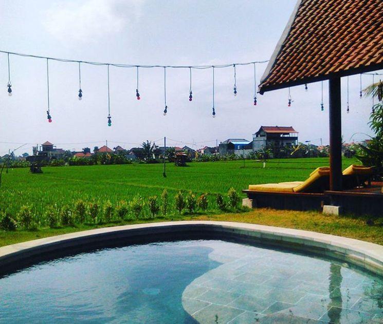 kolam renang di tepi sawah