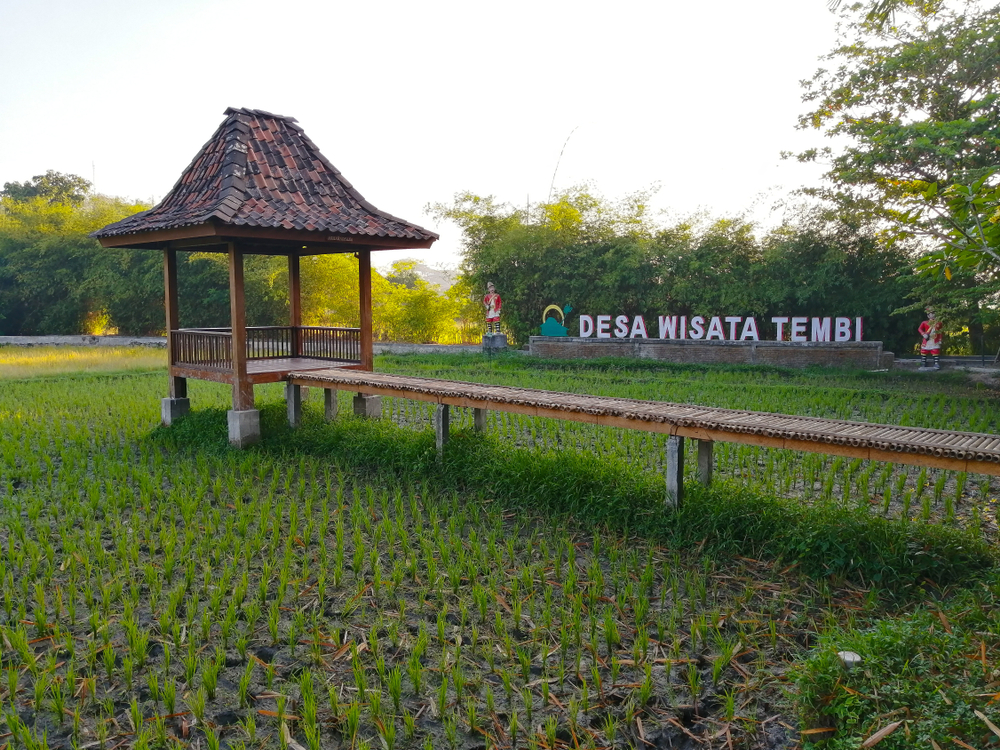 Desa Wisata Tembi_Wego