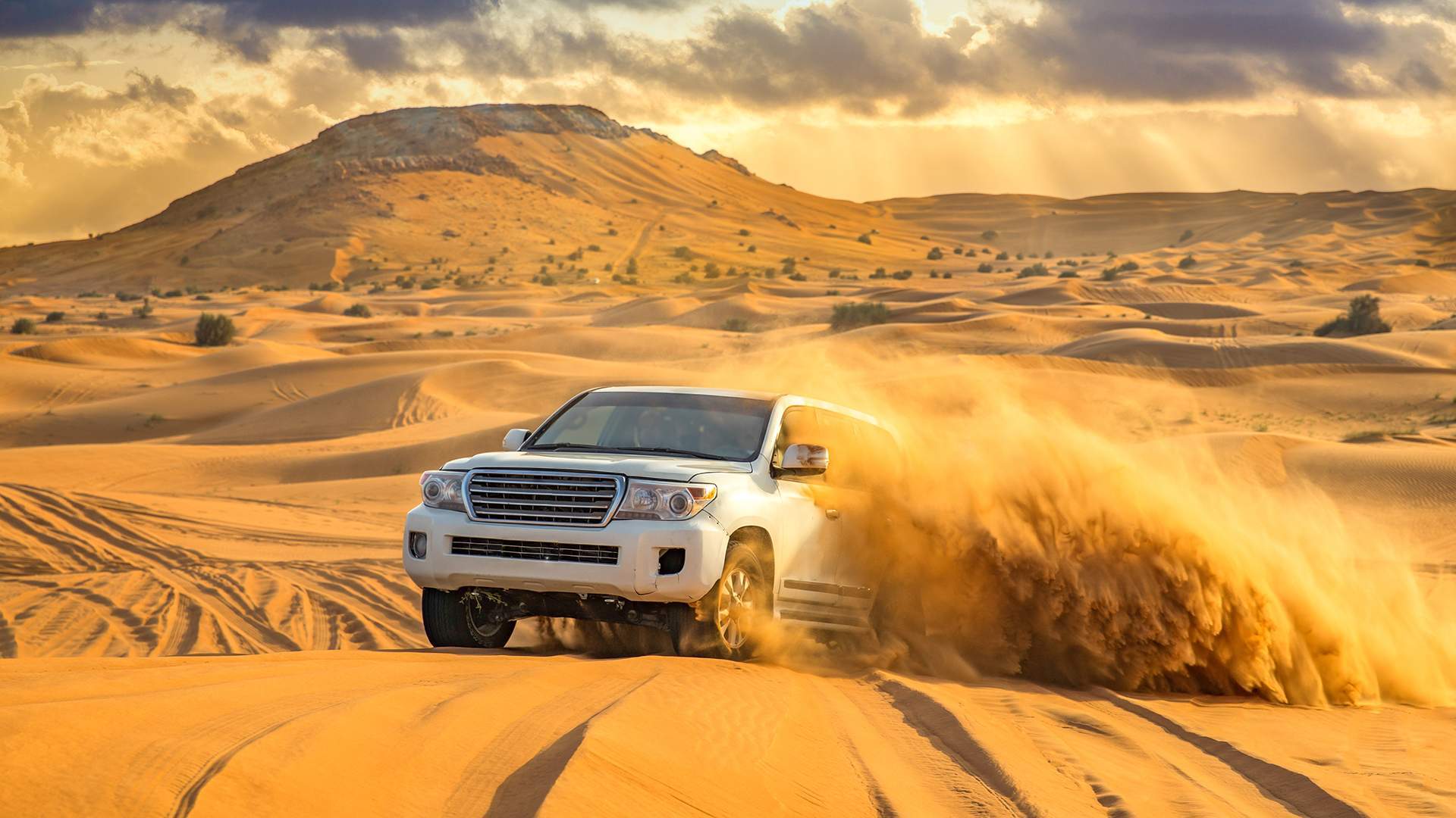 desert safari locations in uae