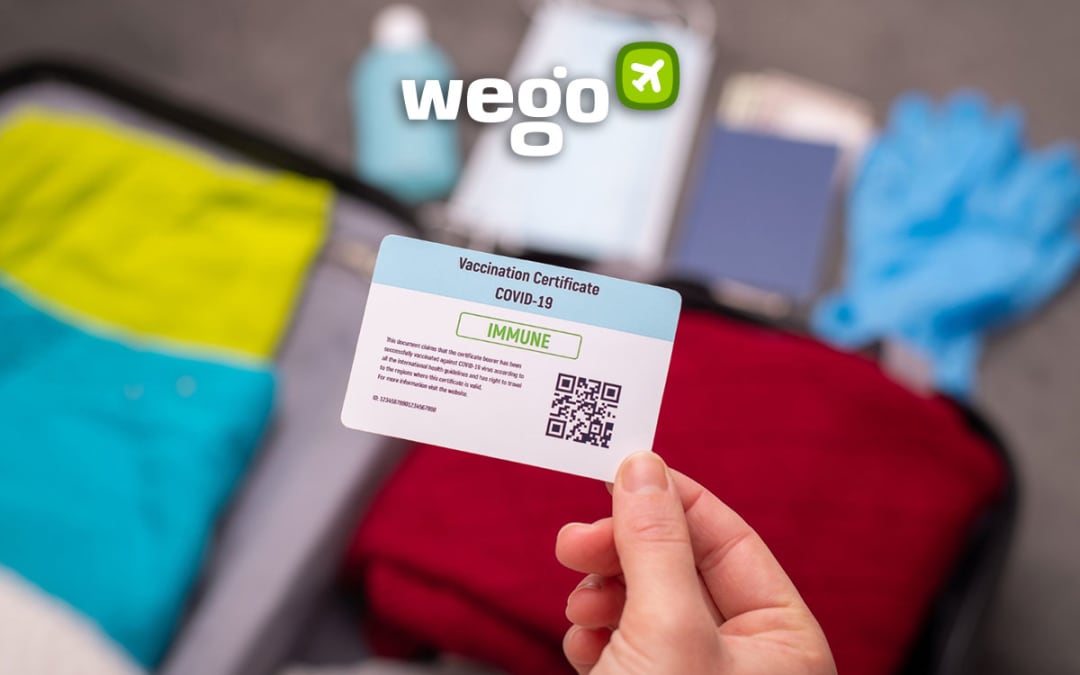 Vaccine Card 2021 - Everything You Need To Know About ...
