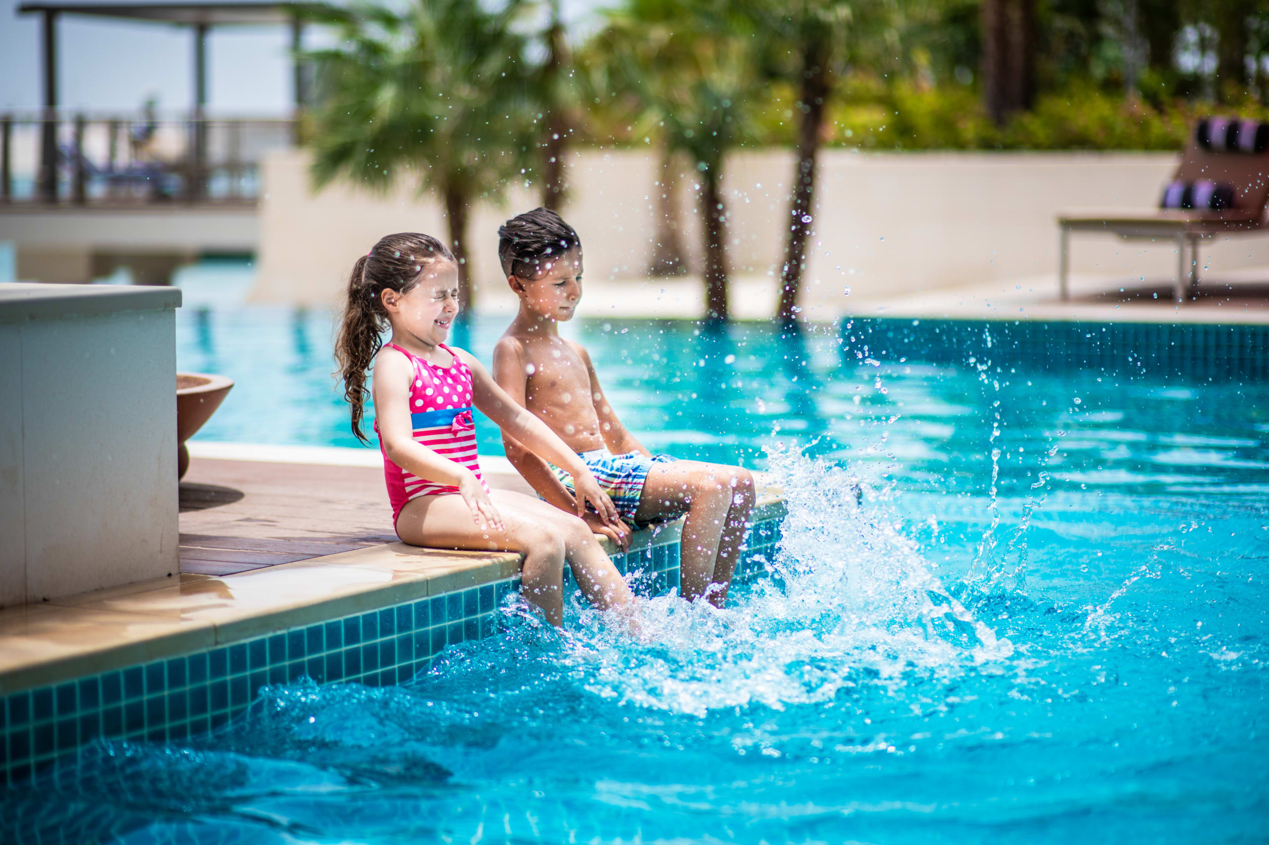 Ghauh Wonder Hatch 1 5243